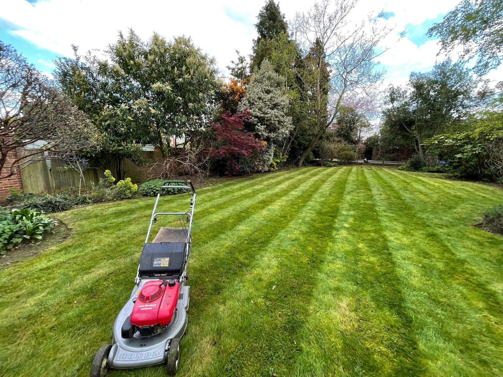 WhatsApp Image 2024-05-02 at 21.18.11_127ab343